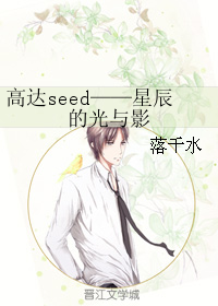 高达seed——星辰的光与影